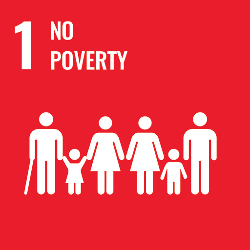 1-SDG